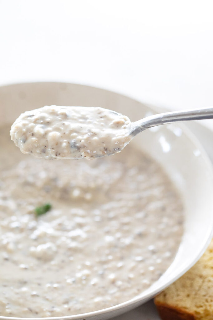 An up close look at the dairy-free cream of mushroom soup 