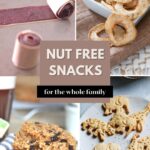 image of nut free snacks for the whole family Pinterest image