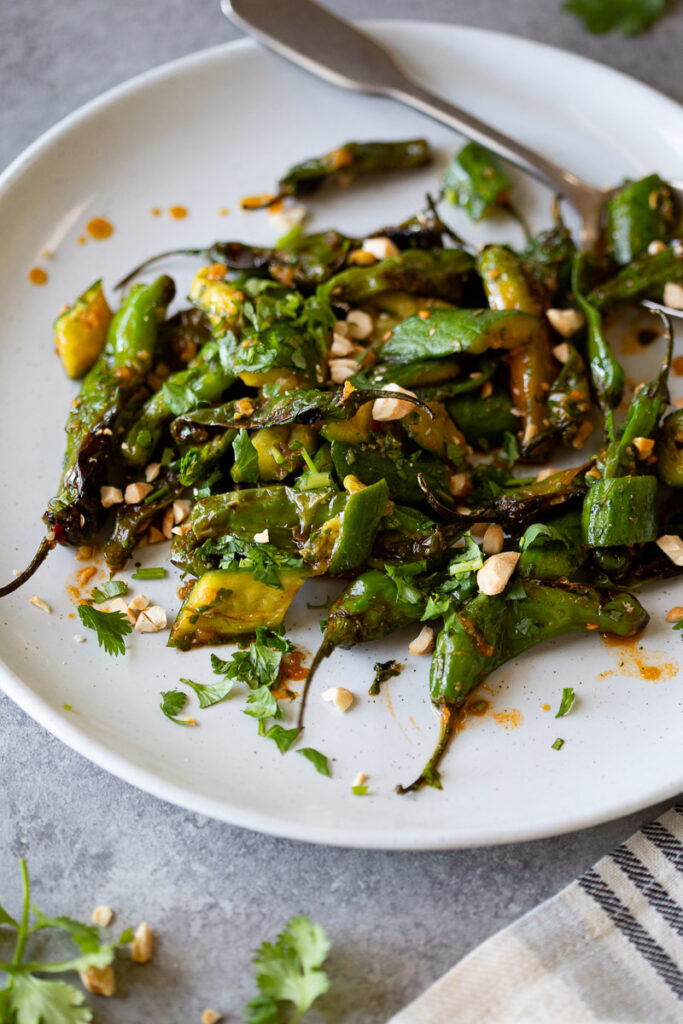 close up image of spicy cucumber salad with blistered shishito peppers on a white plate